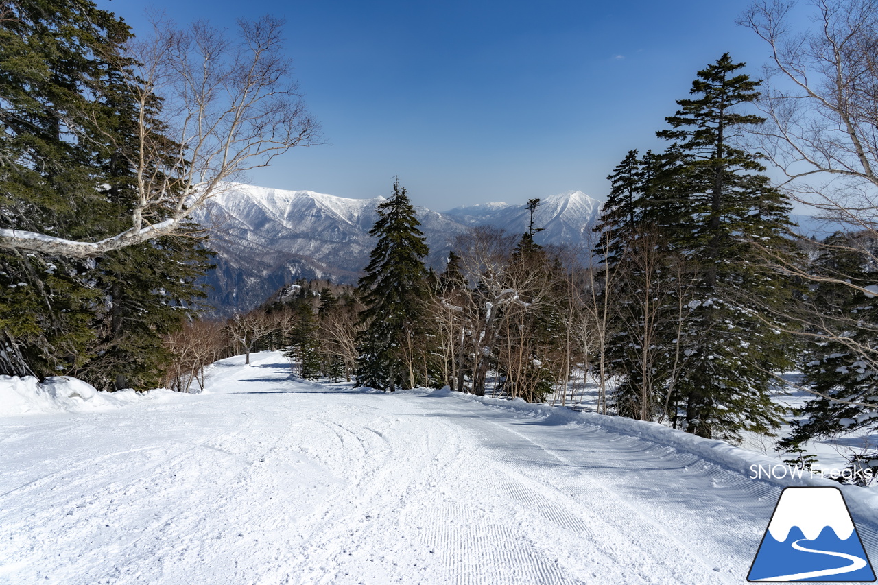 大雪山層雲峡・黒岳ロープウェイスキー場｜只今の積雪 360cm！『神々の遊ぶ庭』に降り積もる雪は、やはり別物でした(^^)v